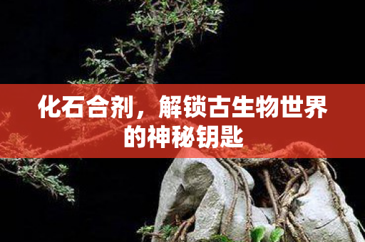 解锁古生物世界的神秘钥匙图片