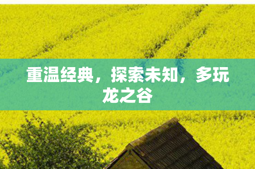 多玩龙之谷图片