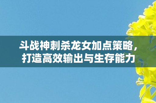 斗战神刺杀龙女加点策略图片