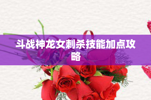 斗战神龙女刺杀技能加点攻略图片