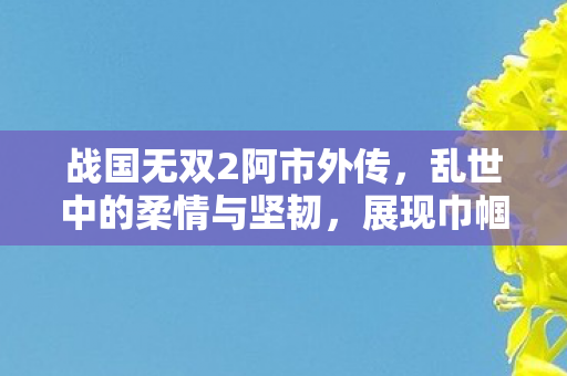 战国无双2阿市外传图片