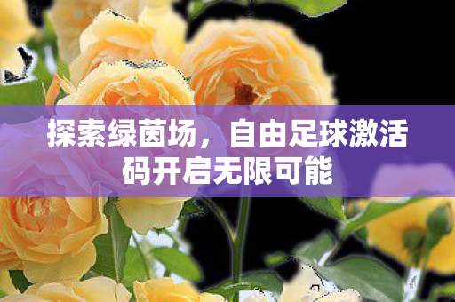 自由足球激活码开启无限可能图片