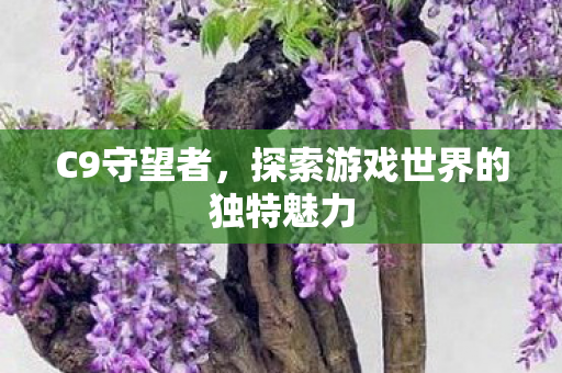探索游戏世界的独特魅力图片