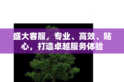 打造卓越服务体验图片