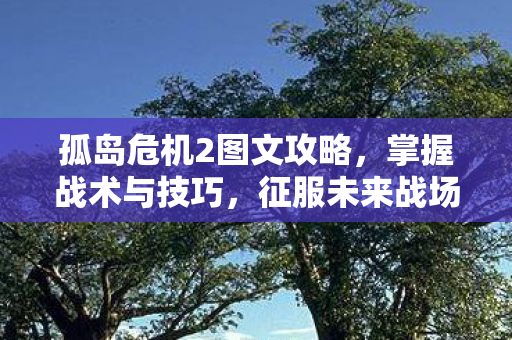 孤岛危机2图文攻略图片