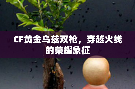 穿越火线的荣耀象征图片