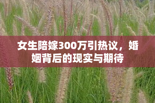 女生陪嫁300万引热议图片