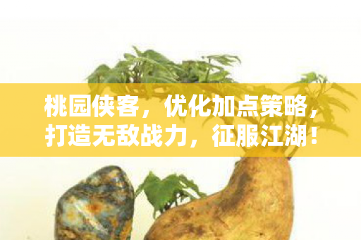 优化加点策略图片
