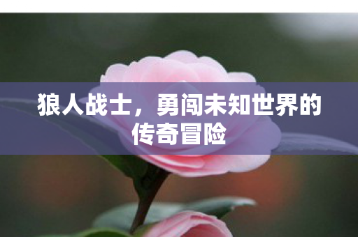勇闯未知世界的传奇冒险图片