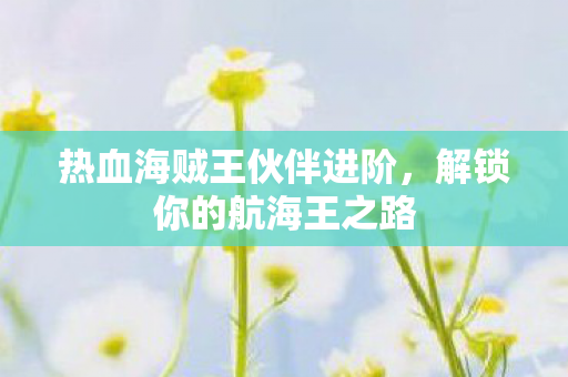 热血海贼王伙伴进阶图片