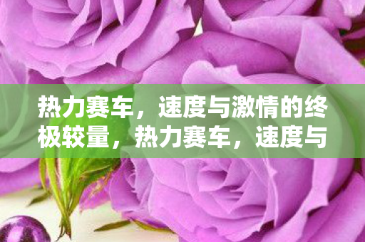 速度与激情的终极较量图片