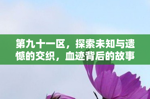 探索未知与遗憾的交织图片