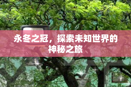 探索未知世界的神秘之旅图片