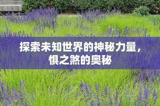 探索未知世界的神秘力量图片