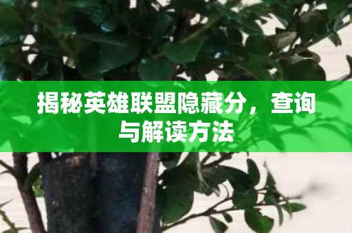 揭秘英雄联盟隐藏分图片
