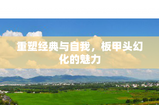 板甲头幻化的魅力图片
