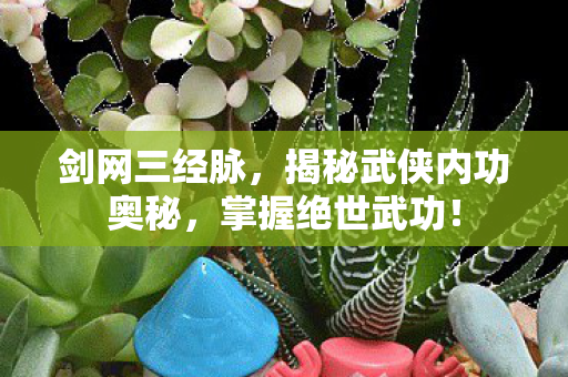 揭秘武侠内功奥秘图片