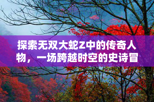 探索无双大蛇Z中的传奇人物,一场跨越时空的史诗冒险,无双大蛇Z,传奇人物与时空冒险之旅 探索无双大蛇Z中的传奇人物,一场跨越时空的史诗冒险,无双大蛇Z,传奇人物与时空冒险之旅
