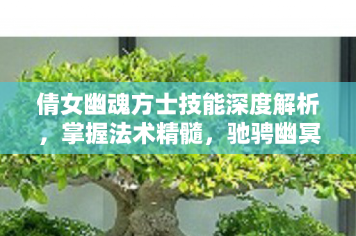 倩女幽魂方士技能深度解析图片