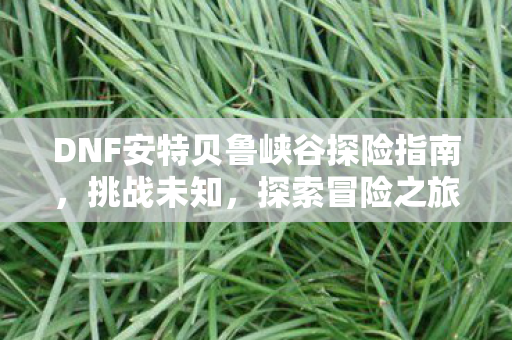 DNF安特贝鲁峡谷探险指南图片