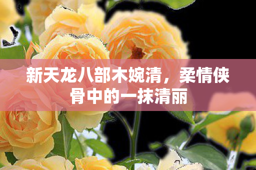 柔情侠骨中的一抹清丽图片