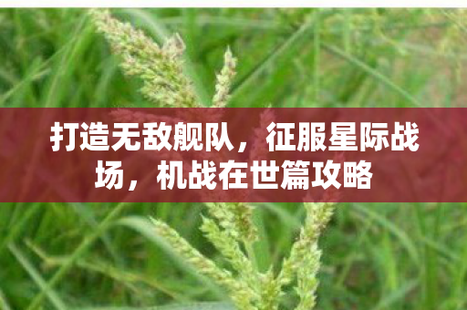 机战在世篇攻略图片