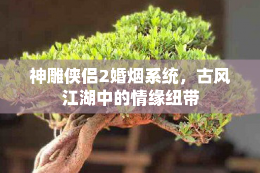 古风江湖中的情缘纽带图片