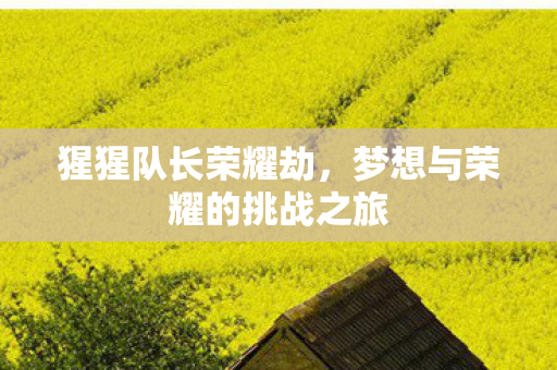 梦想与荣耀的挑战之旅图片