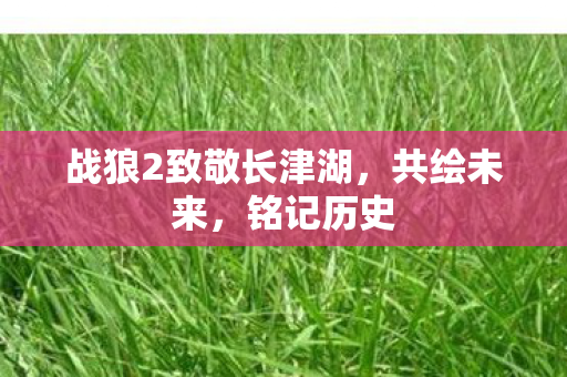 战狼2致敬长津湖图片