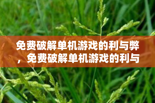 免费破解单机游戏的利与弊图片