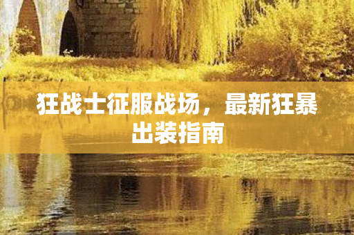 最新狂暴出装指南图片