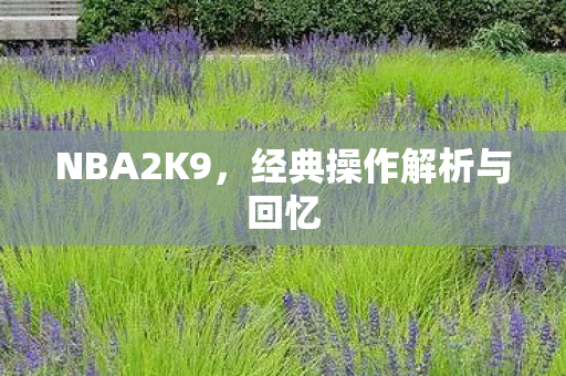 经典操作解析与回忆图片
