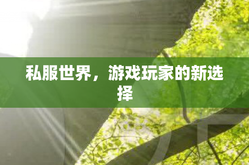 游戏玩家的新选择图片