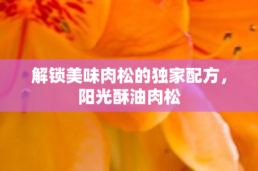 解锁美味肉松的独家配方图片