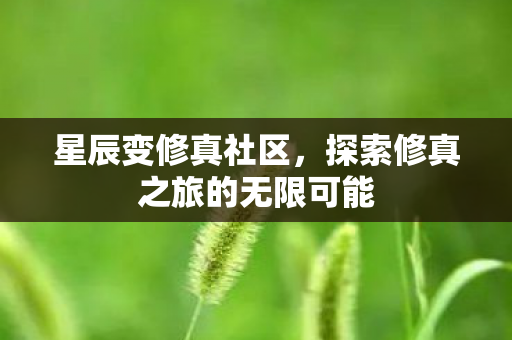 探索修真之旅的无限可能图片