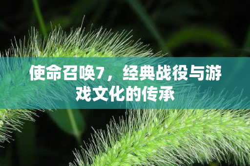 经典战役与游戏文化的传承图片