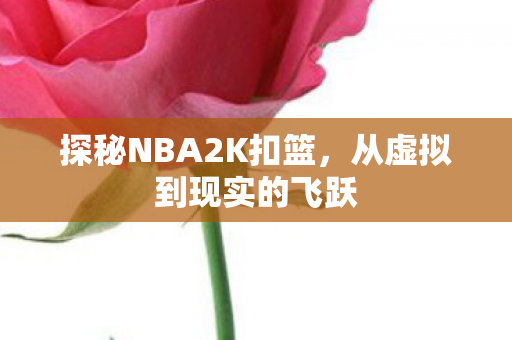 探秘NBA2K扣篮图片