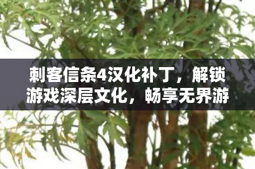 刺客信条4汉化补丁图片