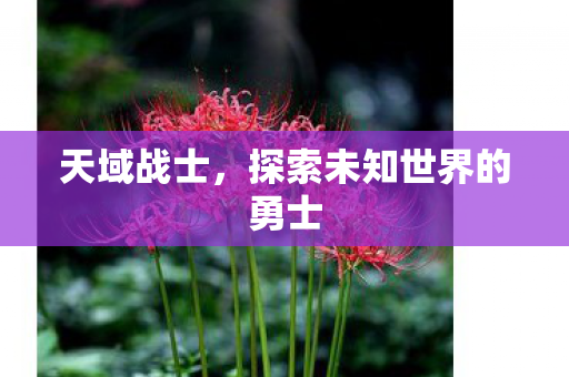 探索未知世界的勇士图片