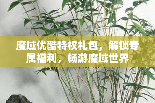 魔域优酷特权礼包图片