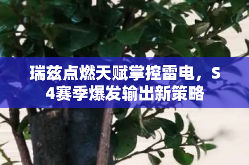 S4赛季爆发输出新策略图片