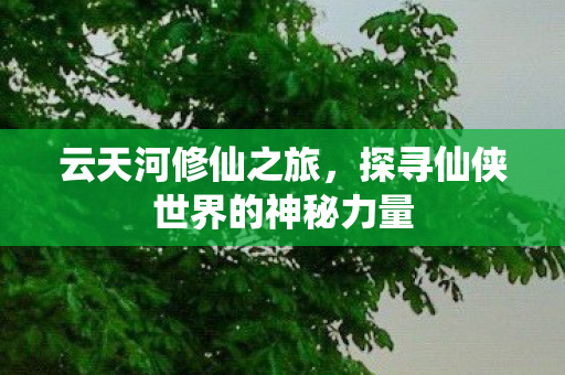 探寻仙侠世界的神秘力量图片