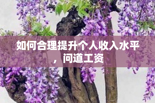 如何合理提升个人收入水平图片