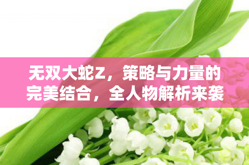 策略与力量的完美结合图片