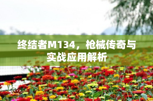 枪械传奇与实战应用解析图片