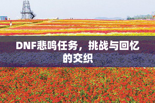 挑战与回忆的交织图片