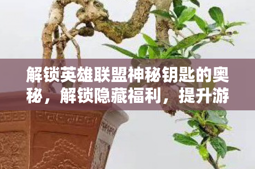 解锁英雄联盟神秘钥匙的奥秘图片