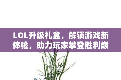 助力玩家攀登胜利巅峰图片