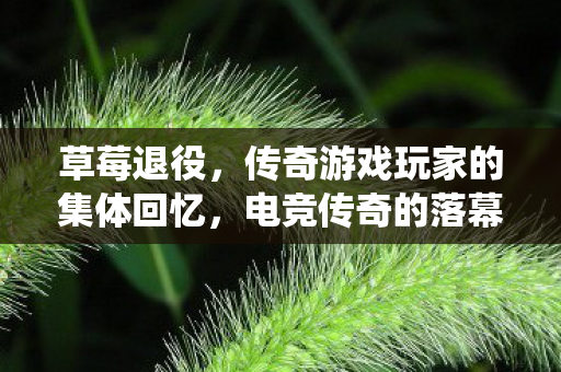 传奇游戏玩家的集体回忆图片