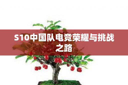 S10中国队电竞荣耀与挑战之路图片